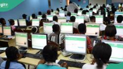 JAMB 2024: List of UTME cut-off marks for universities, polytechnics from 2019 to 2023 admissions