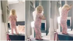 She's high on spaghetti: Little girl enters a room, shakes waist to "Without Me" by Eminem, in sweet video
