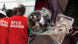 EFCC identifies those behind naira fall, makes arrests as traders quote new dollar exchange rate