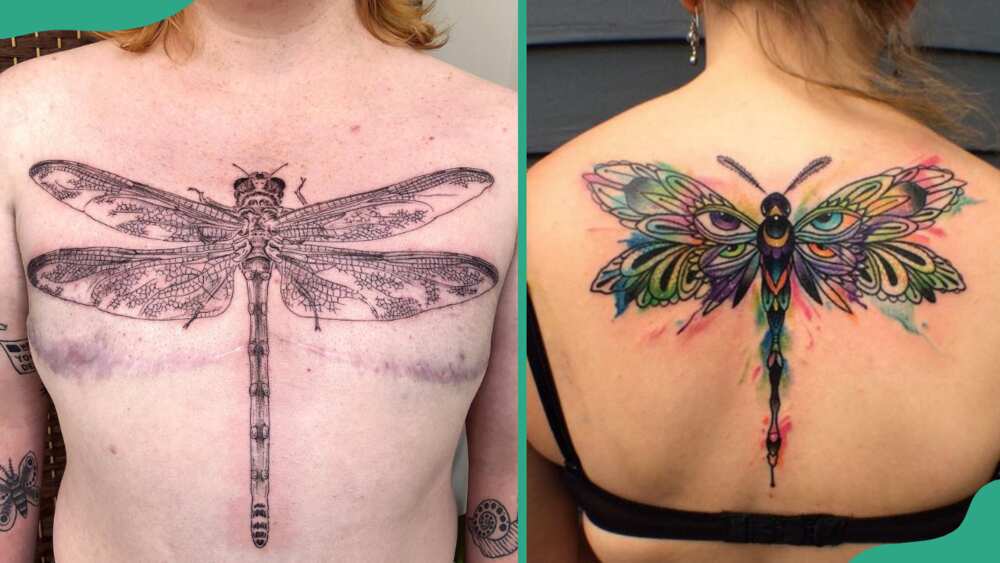 Large dragonfly tattoos