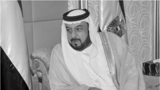 Bin Zayed Al Nahyan: UAE's president dies amid pain, mourning