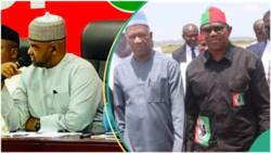 "PDP, Labour Party to die in 3 years time": Influential cleric prophesizes