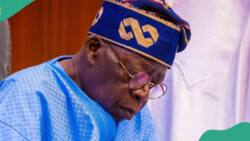 Just In: Tinubu writes senate over newly appointed Code of Conduct Bureau chairman
