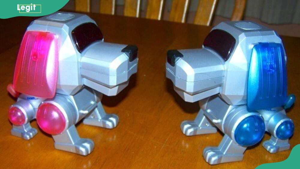 Poo-Chi Robotic Dog