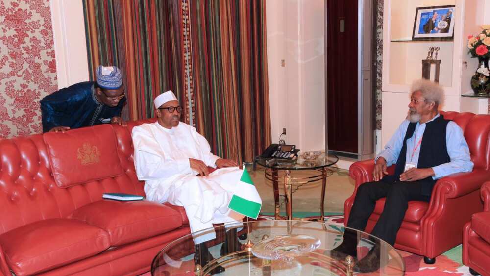 President Muhammadu Buhari, Professor Wole Soyinka, Impeachment process, senators, lawmakers