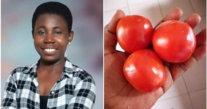 Tomatoes for N200, increase in price of foodstuffs, market hike