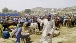Cattle dealers threaten to embark on nationwide strike, give reason
