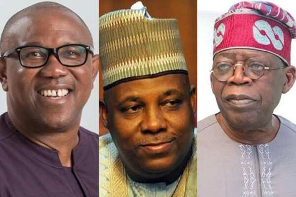 Tinubu/Shettima/Peter Obi/Southeast/2023 elections