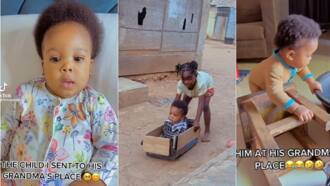 Beryl TV 367017ade409f350 “Shay You Dey Whine Me?” Mercy Johnson’s Kids Drag Her in Video, Demand for Baby Brother for Her Son 