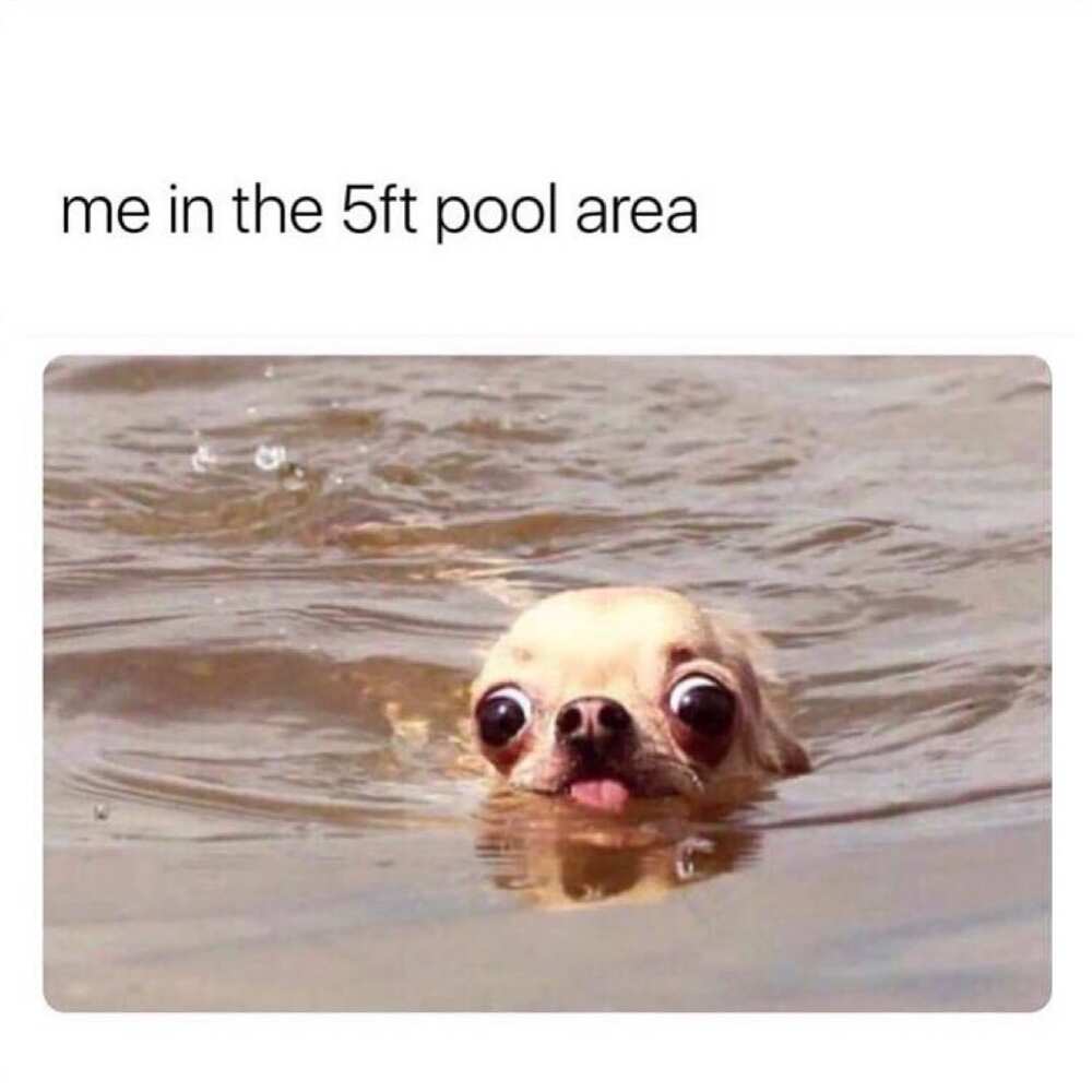 Short person meme Short person meme