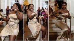 Curvy aso-ebi lady takes over wedding dance, 'sets reception on fire' with beautiful moves, video causes stir