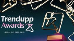 Trendupp Awards Unveils Mikano Motors as 2023 Award Category Sponsor