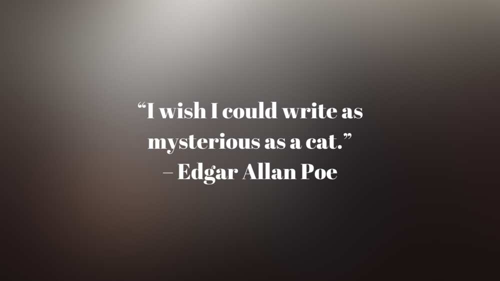 Edgar Allan Poe quotes The Raven