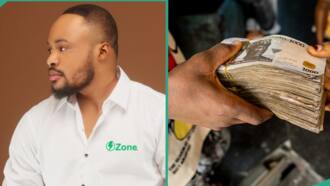 "The salary is N400k per month": Drama as 5,812 people apply for one job vacancy advertised online