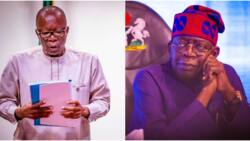 Tinubu dissolves governing boards of federal universities, ASUU reacts