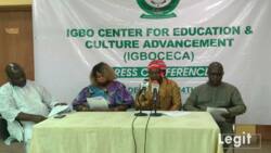 Air Peace, UAE saga: Igbo group hails President Buhari, FG for quick intervention