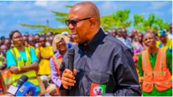 2023 presidency: Amid security threat, Peter Obi begins nationwide campaign in top northern state