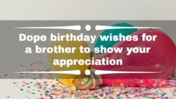 100+ dope birthday wishes for a brother to show your appreciation