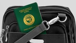 Global Passport Index 2021: List of 26 countries Nigerians can travel to without visa