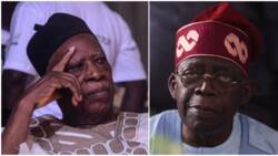 APC: Adamu resigned after he realised court nullified Tinubu's election? Fact emerges