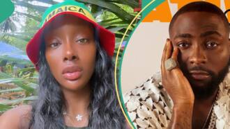 Davido’s alleged ex-side chick Anita Brown lands in Jamaica, searches for him, people react