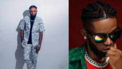 Taking Afrobeat to different level - Nigerian singer features 20 artistes in 20 songs from 20 nations