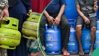 Cost of cooking gas increases again as data shows states with highest prices