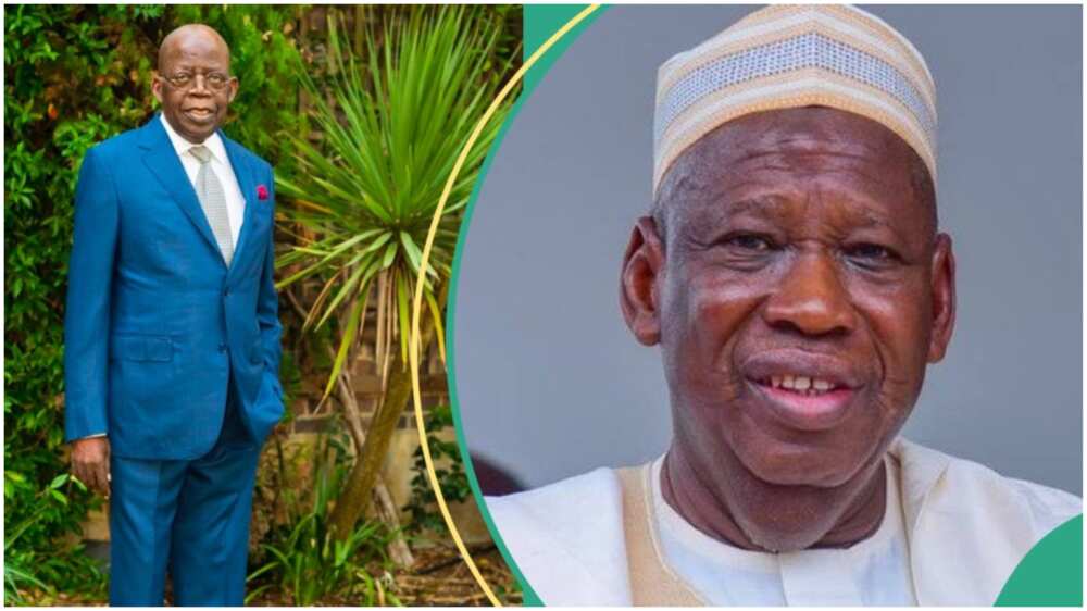 Bola Tinubu/Abdullahi Ganduje/APC/Arewa