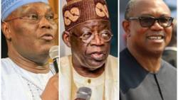 Nigeria presidential election: Massive jubilation as Tinubu leads Obi, Atiku, wins 13 LGs in Ondo