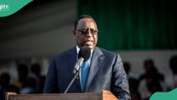 Timi Frank: Postponement of Senegalese election by President Sall illegal, breeding coup