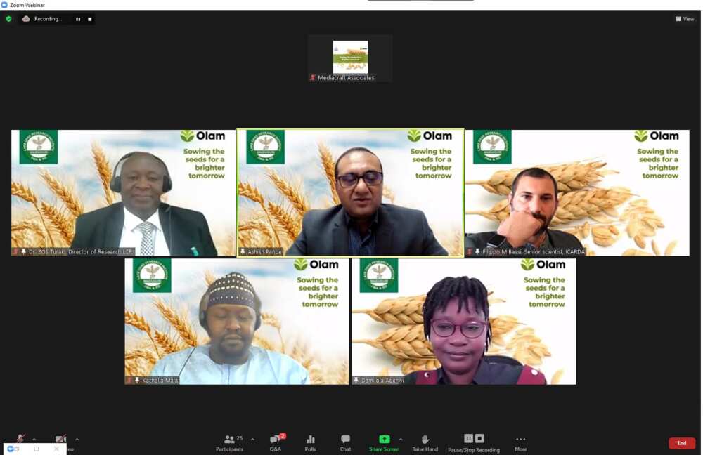 Olam Announces a N300m Investment to Set Up Community Seed Enterprises