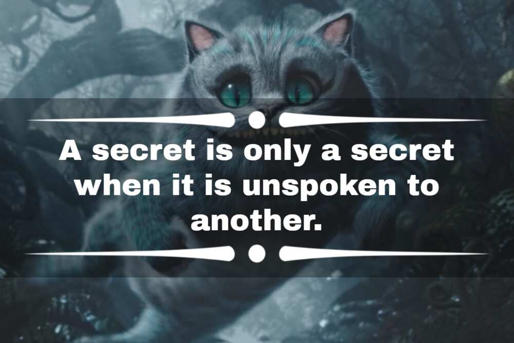 cheshire cat saying cheshire cat saying