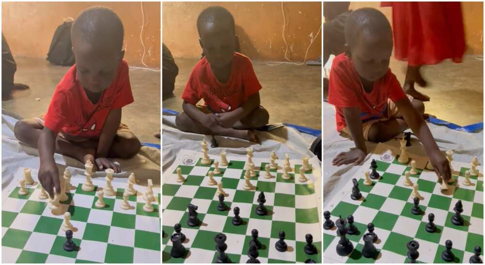 Photos of a boy playing chess.
