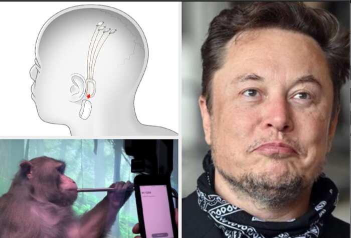 Elon Musk reveals microchips for Human Brains ready from 2022, demonstrates how it will work, uses