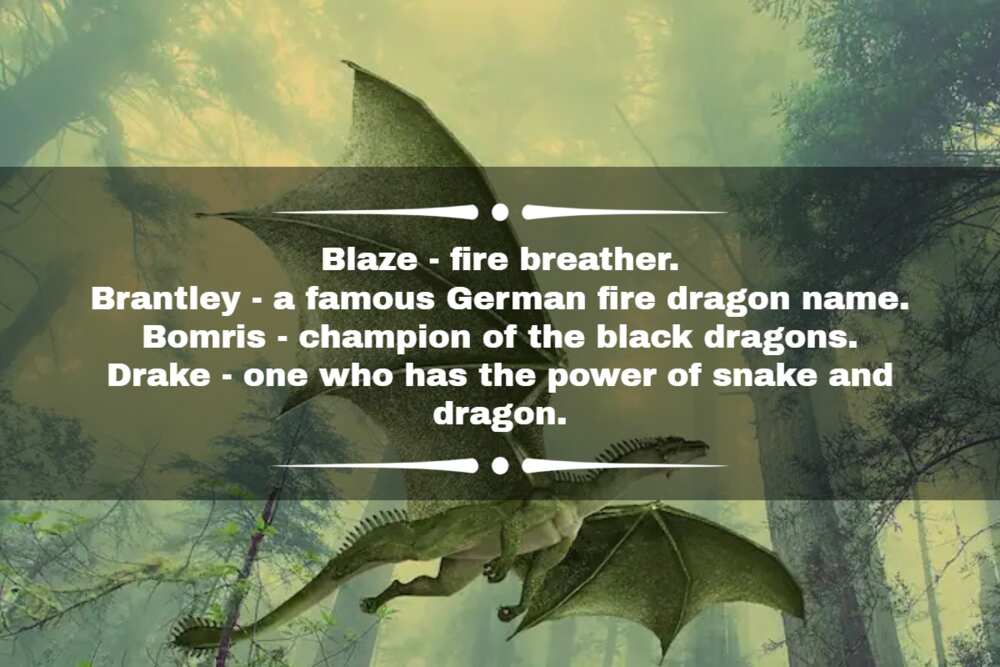 Dragon Names