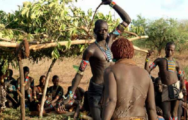 Interesting Facts About Sharo The Fulani Festival Where Boys Endure Flogging As A Rite Of Passage Legit Ng