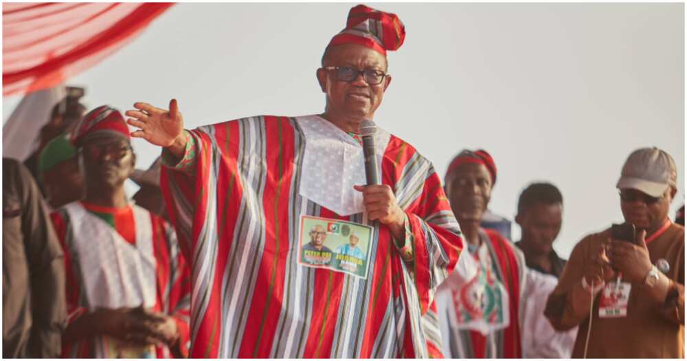 Labour Party, Peter Obi, 2023 presidential election, Nigerian youths Labour Party, Peter Obi, 2023 presidential election, Nigerian youths