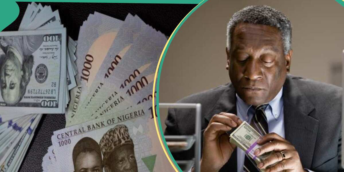 Anxiety as naira to dollar records N354 gap as count down begins to 2024