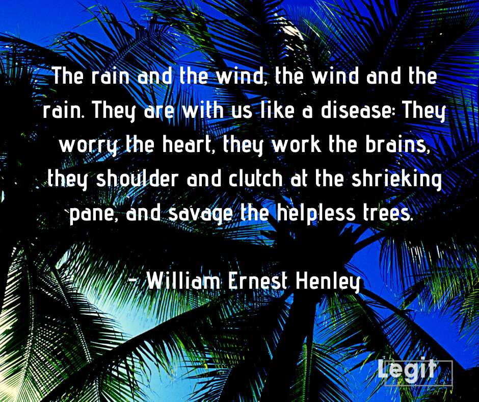 quotes about rain and love