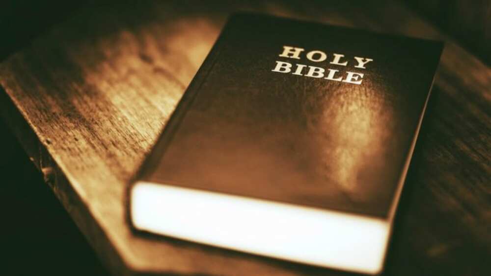 Bible verses Bible verses