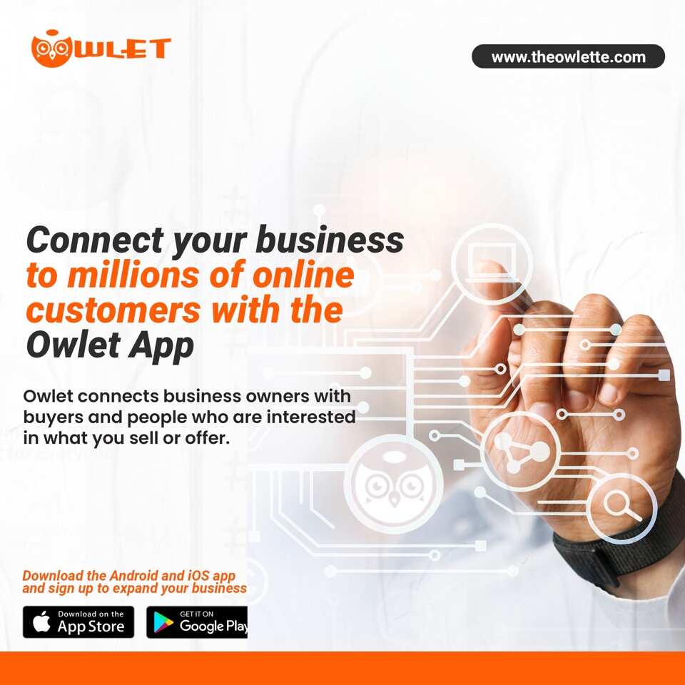The Owlet: Efficient and Cheapest Way to Sell Your Product Online