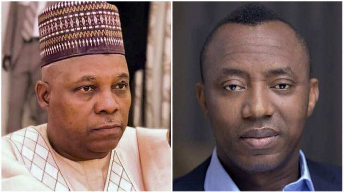 See video of Sowore and Shettima fighting for sitting position in Abuja