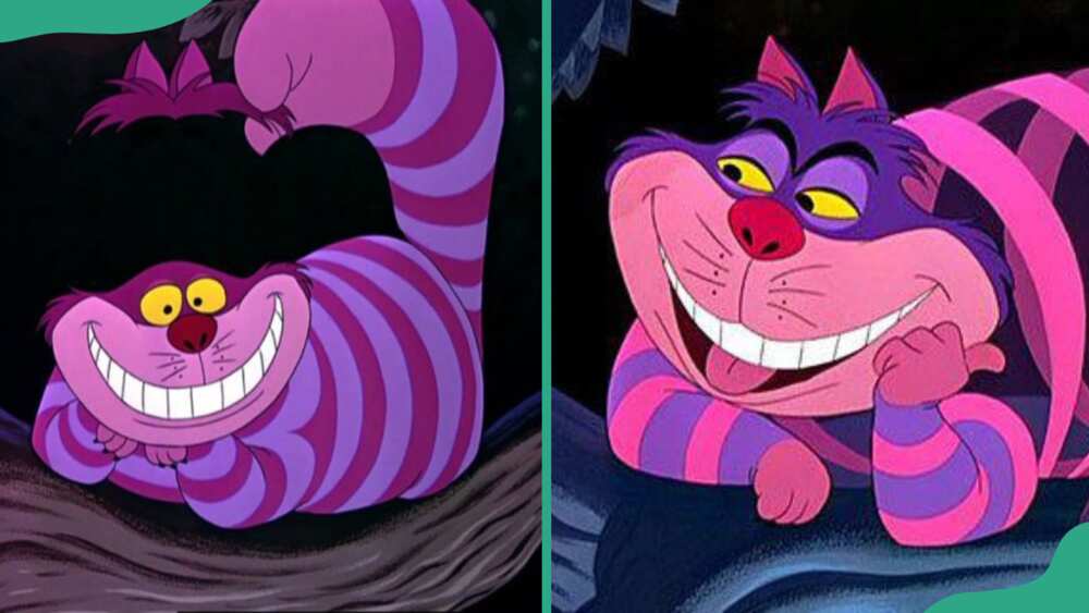Cheshire Cat from Alice's Adventures in Wonderland