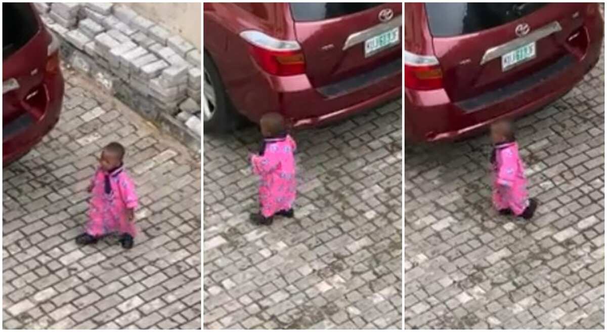 Na to use am finish primary school: Reactions as tailor sew 'Agbada' uniform for school kid, video goes viral