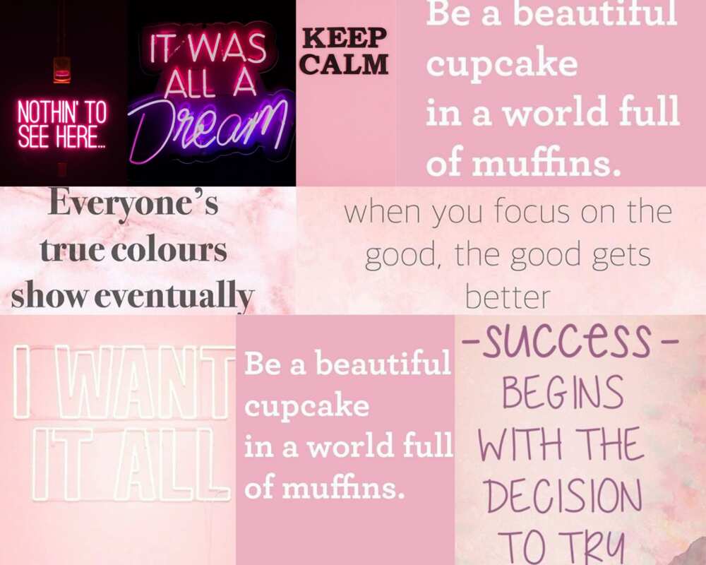 Pink quotes