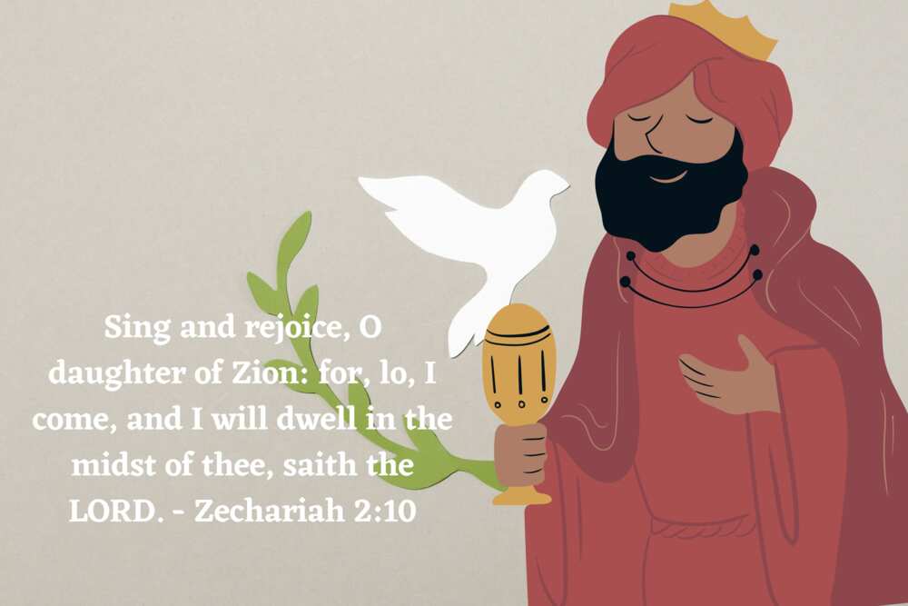 meaning of zion name meaning of zion name