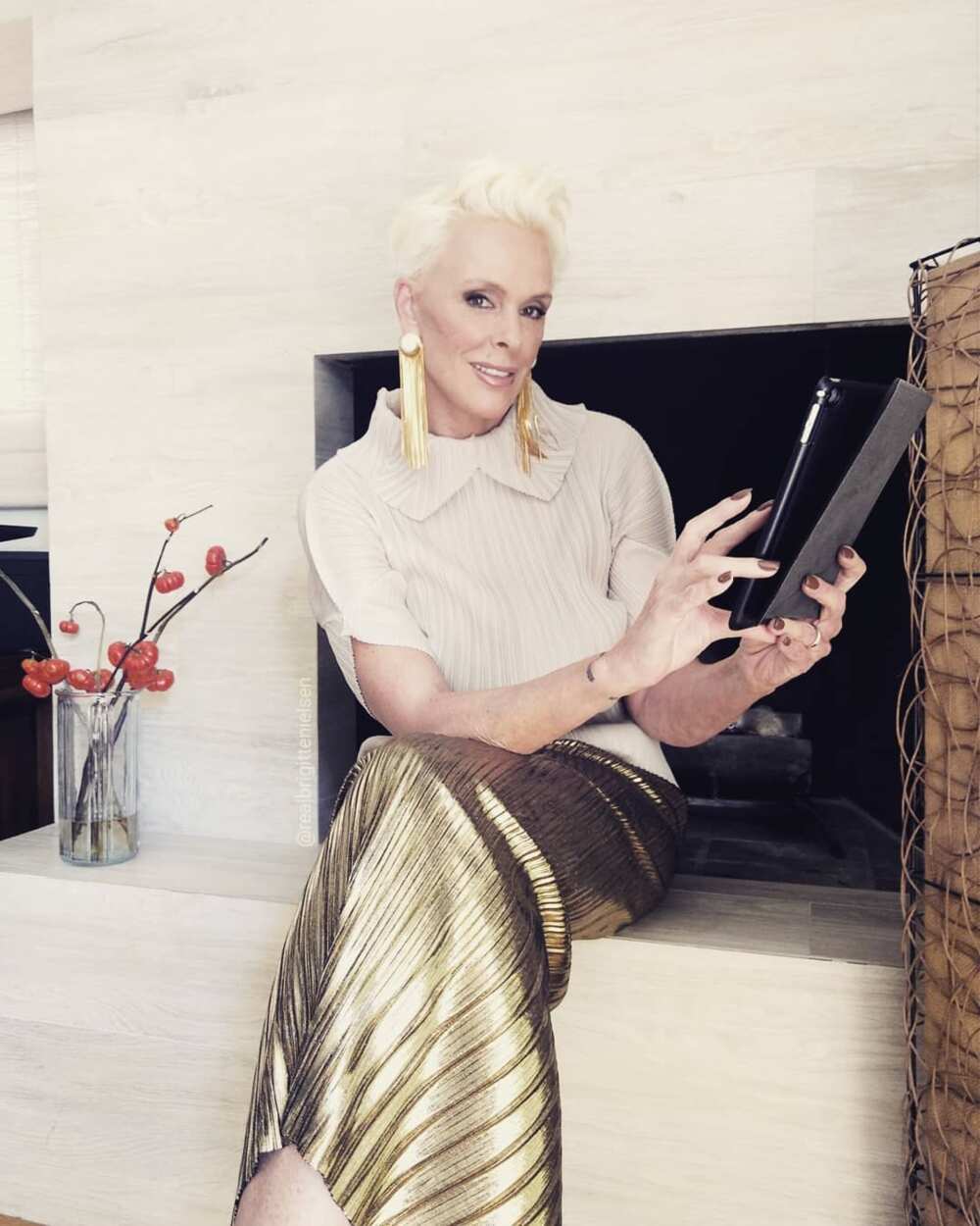 brigitte nielsen height