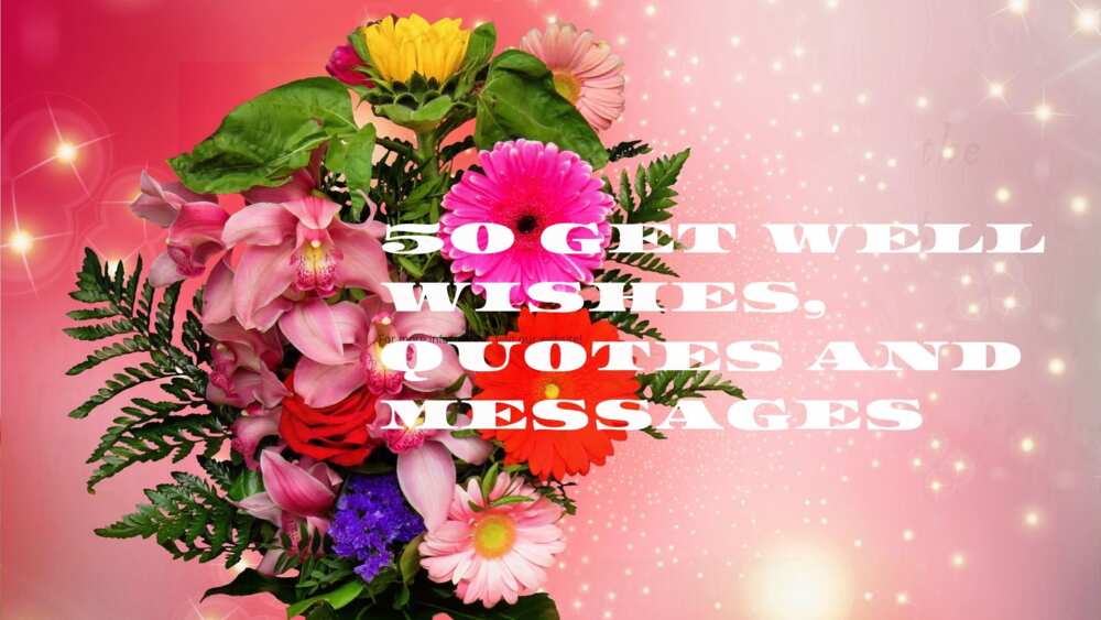 50 get well wishes, quotes and messages for friends and family