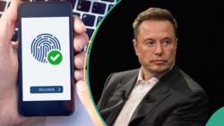 Elon Musk's X Moves to collect biometric data, education, employment history of Nigerians, pays Nigerian N36m