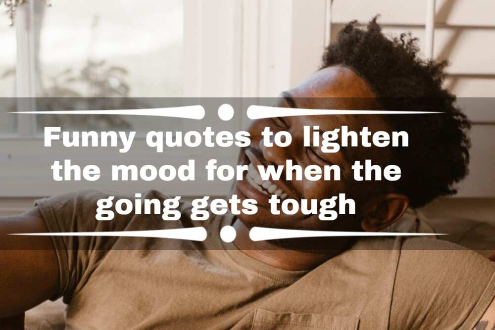 Funny quotes to lighten the mood for when the going gets tough - Legit.ng